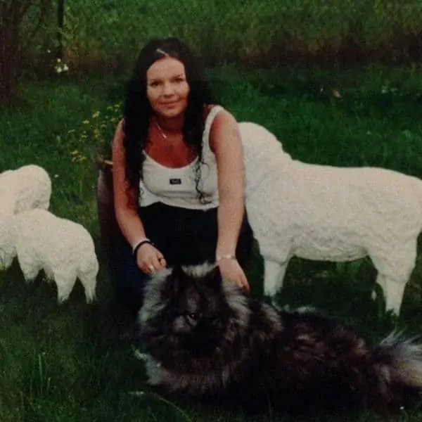 Zwischen Hund und Schaf
